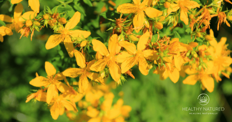 st. john's wort natural remedies for anxciety and depression