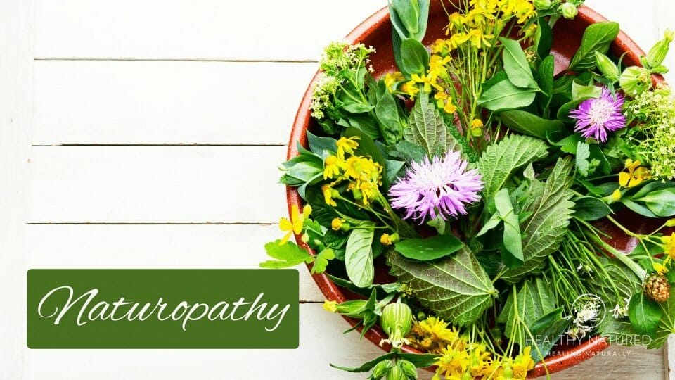 naturopathy naturopathy
