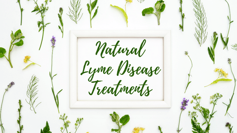 lyme
