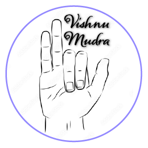 vishnu mudra