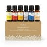 Plant Therapy Top 6 Synergies Set | Essential Oil Blends for Sleep, Stress, Muscle Relief, Energy, Health, in A Wooden Box | 100% Pure, Undiluted, Natural Aromatherapy, Therapeutic Grade | 10 mL