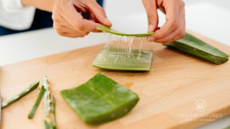 prepare your aloe vera