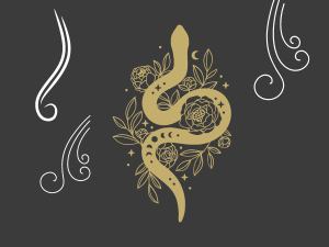 winds of the south opening shamanic sacred space winds of the south opening shamanic sacred space