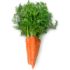 carrot