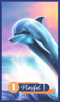 Playful - The Dolphin