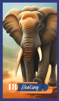 Healing - The Elephant
