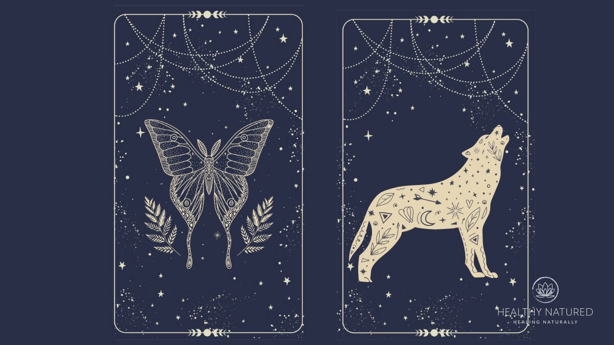 2 theme tarot two card oracle spread