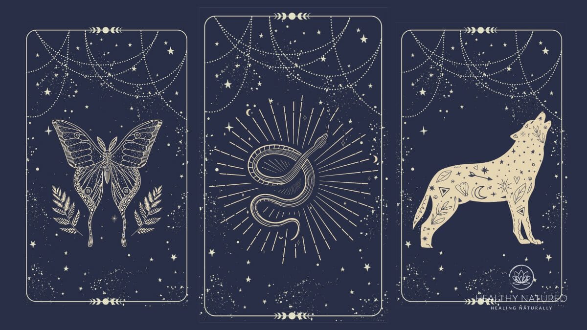 three card oracle