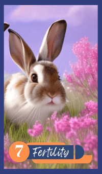 Fertility - The Rabbit
