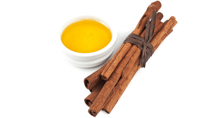 honey and cinnamon for weight loss