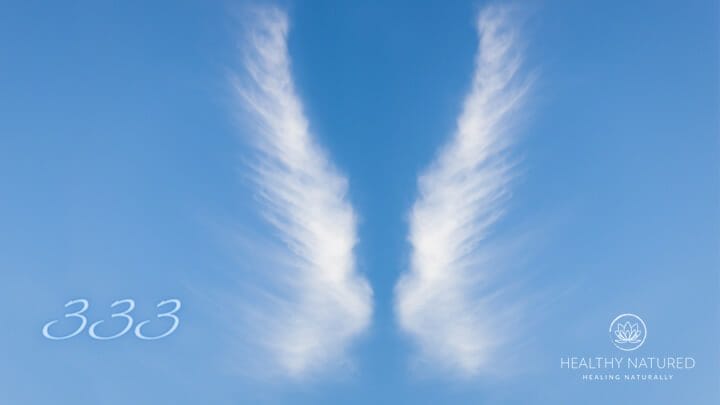 number 333