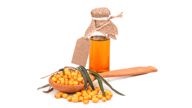 sea buckthorn oil