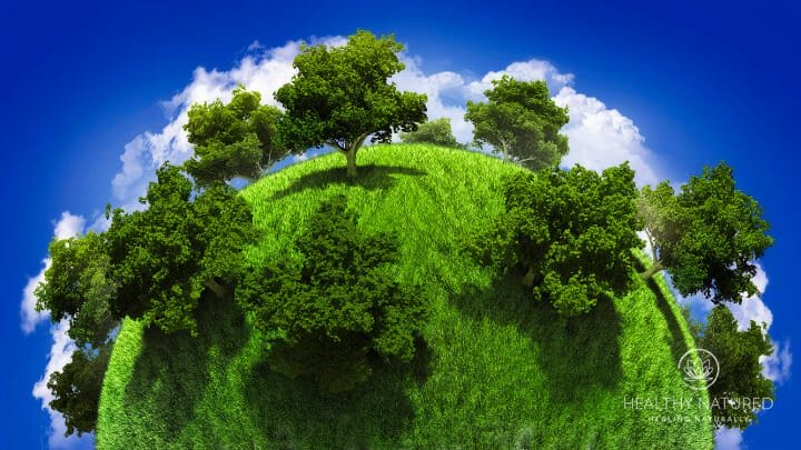 which environment resonates with you the most