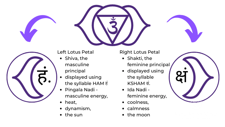ajna the third eye chakra lotus petals