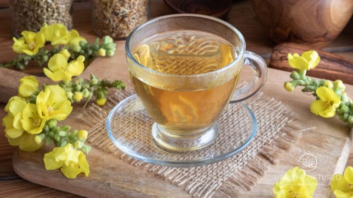Mullein herbal tea helps to calm coughs and ease sore throats