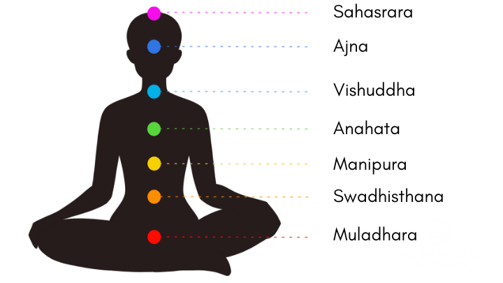 the chakras