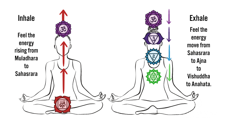 awaken kundalini breath cycle awaken kundalini breath cycle