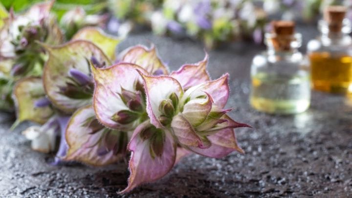 essential oils for sacral chakra healing