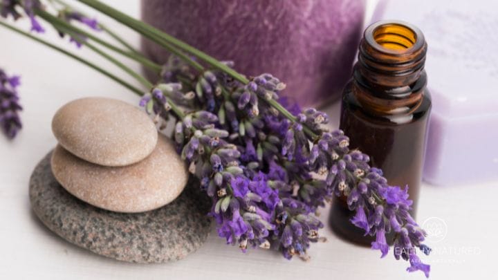 essential oils for the third eye chakra essential oils for the third eye chakra