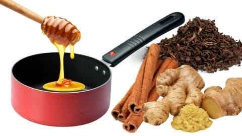 cinnamon, ginger, honey, green tea