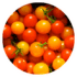 cherry tomatoes