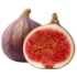 fig