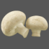 white button mushroom