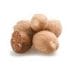nutmeg