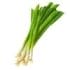 scallions