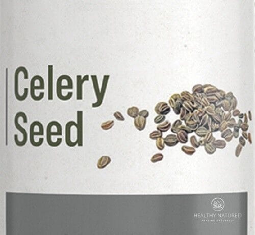 CELERY SEED - Single Herb Liquid Extract Tincture Made in the USA
