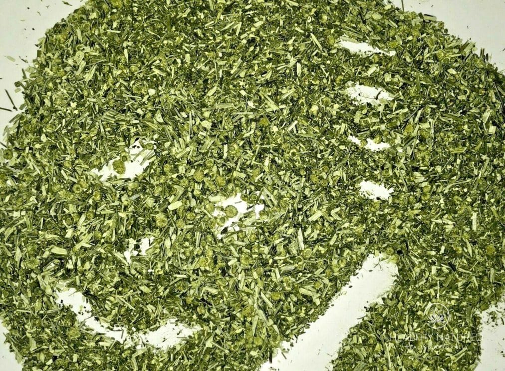 Feverfew Certified Organic Natural Headache Pain Herb Leaf