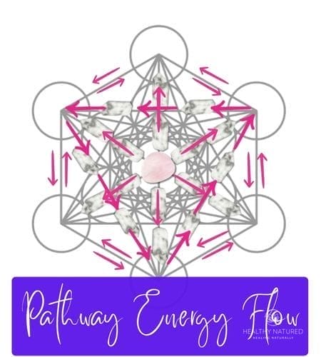 pathway energy flow