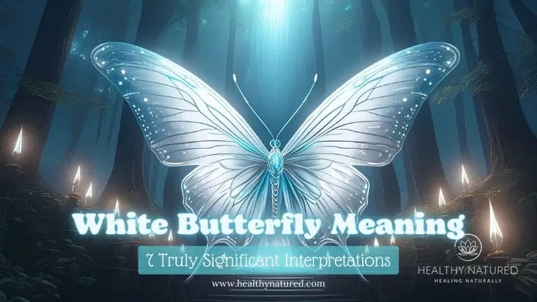 White Butterfly Meaning