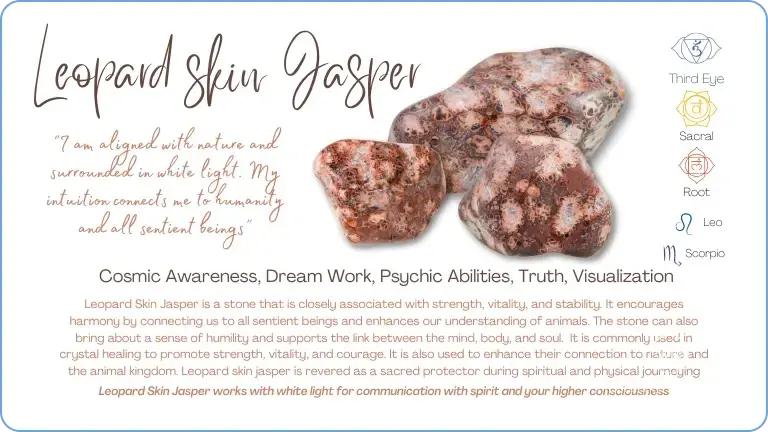 a group of leopard skin jasper healing stones with text explaining their properties