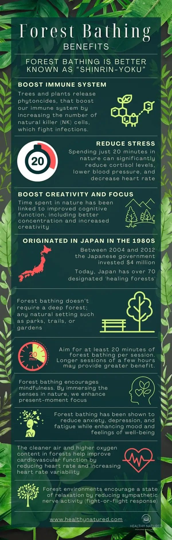 Forest Bathing Infographic