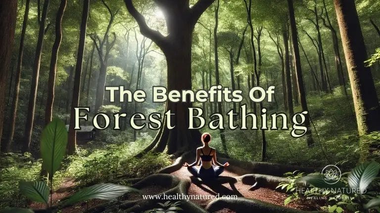 The benefits of forest bathing