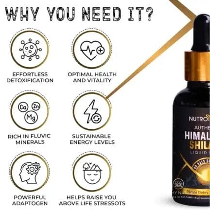The benefits of Himalayan Shilajit