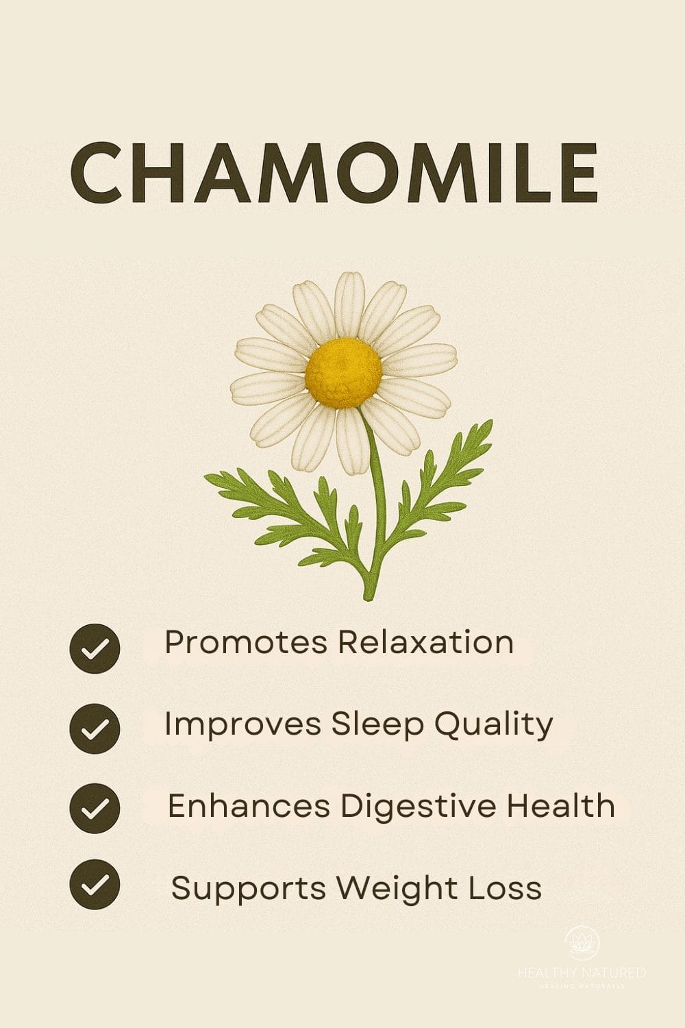 Chamomile Plant Benefits - Chamomile Tea Weight Loss Remedies