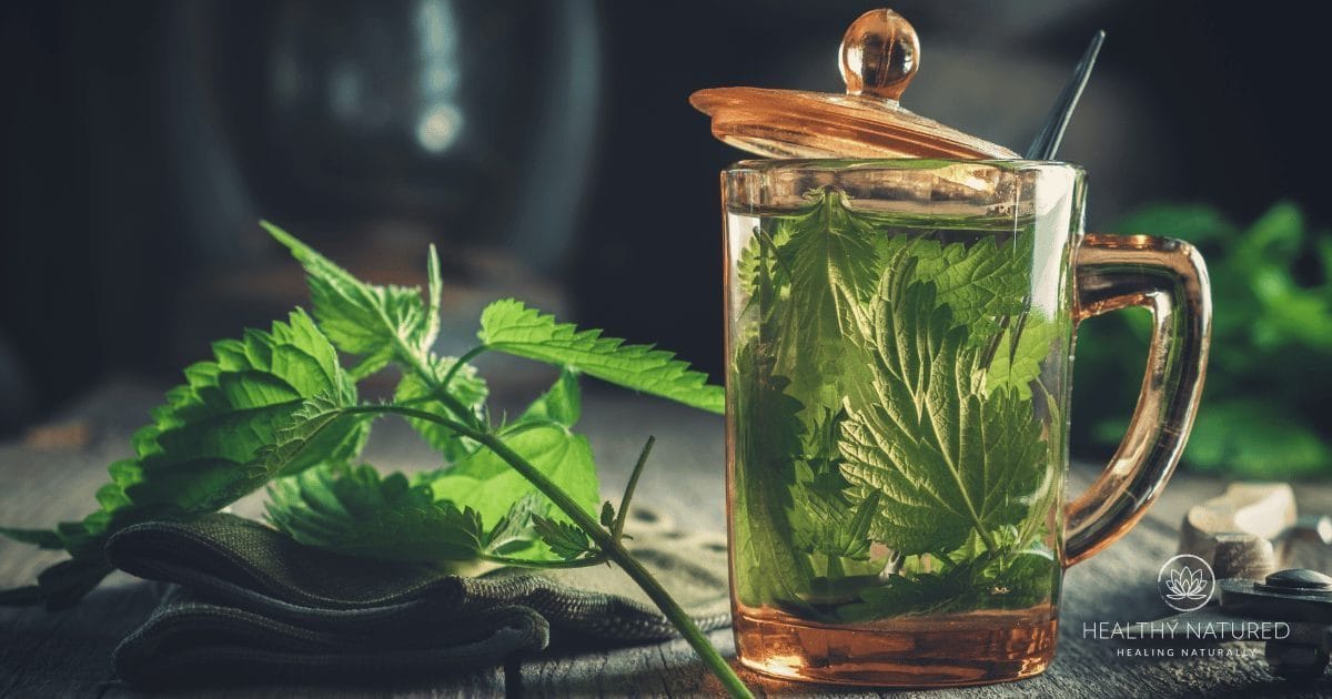 benefits of nettle leaf tea