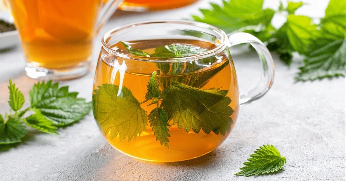 nettle root tea health benefits