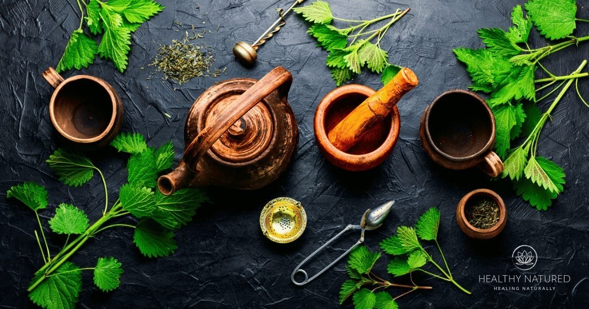 preparing nettle leaf tea - nettle root tea health benefits