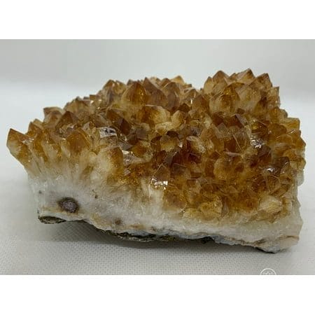 Citrine Custers Brazilian Citrine Crystal Honey Citrine Quartz Cluster Money Stone Success Stone (3-4 lb)