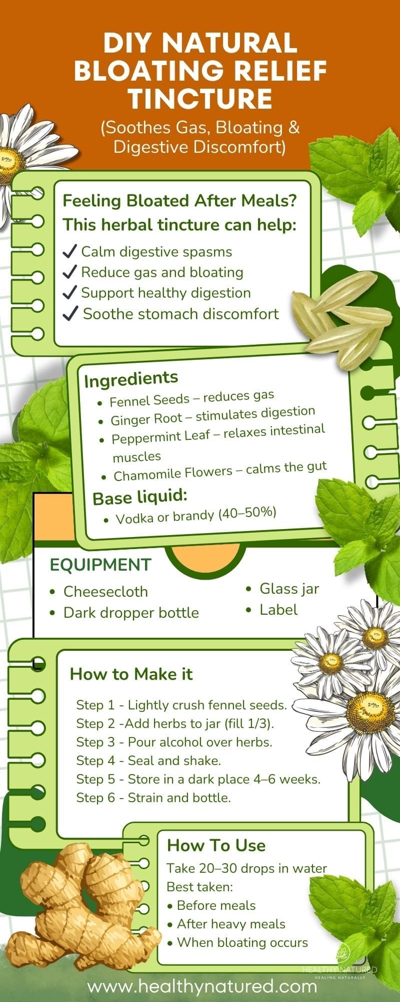 DIY Guide How to Make Gentle Natural Bloating Relief Tincture at Home Infographic