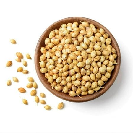 NY SPICE SHOP Whole Coriander Seeds – 3 Pound