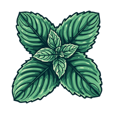 peppermint