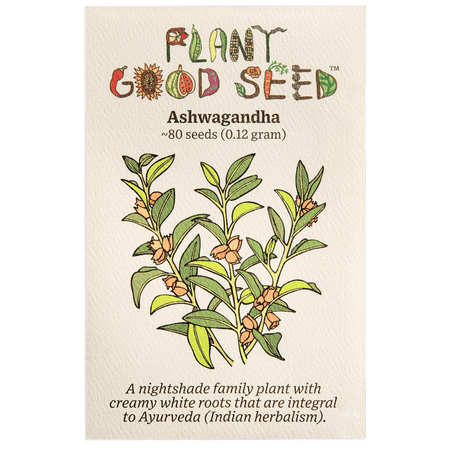 Plant Good Seed Organic Ashwagandha Seeds for Planting: 80 Count Perennial Ayurvedic Herb